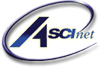 American Systems Consulting, Inc.